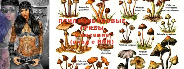 мяу мяу мука Белоозёрский